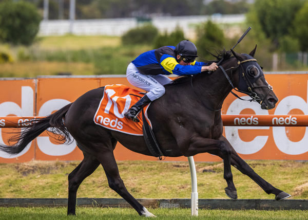 Holbien wins the Lord Stakes - image Grant Courtney