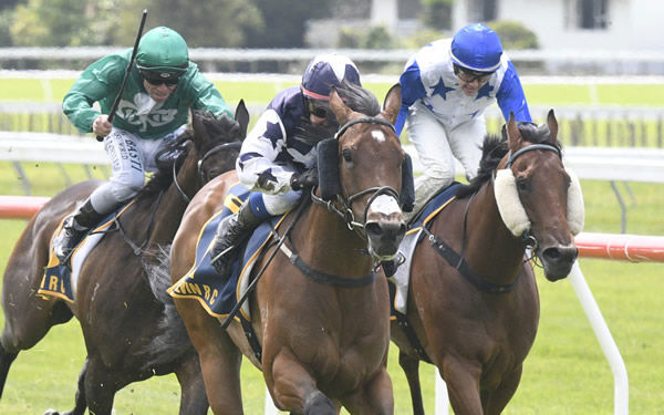 Hold The Press winning the Listed Levin Stakes (1400m) at Otaki on Thursday. Photo: Race Images 