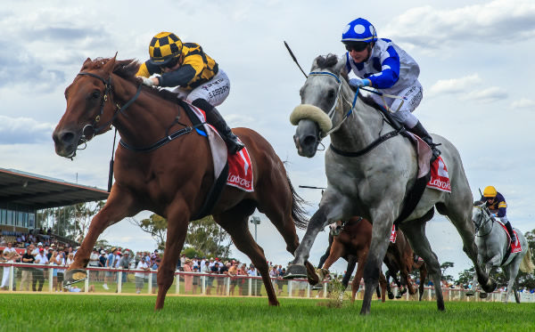 Holymanz (outer) gets the better of Riot And Rose to go back-to-back in the Coastal Classic (1700m). Photo: Grant Courtney