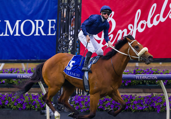 G1 Coolmore Stud Stakes winner Home Affairs was bred and sold by Torryburn Stud. - image Grant Courtney