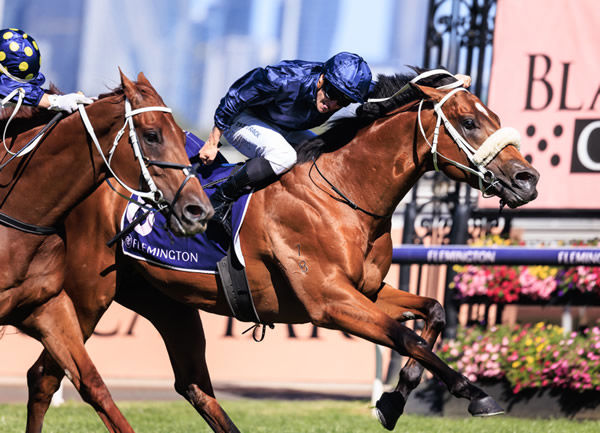 Home Affairs defeats Nature Stripe and Eduardo to win the G21 Lightning Stakes - image Grant Courtney