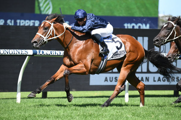 Can Home Affairs stand up as a serious colt for I Am Invincible? - image Steve Hart 