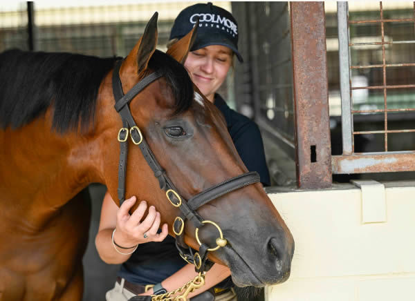 $3.2million Home Affairs filyl from Sunlight - image Magic Millions