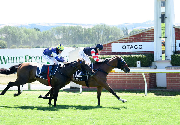 Honesty defeats Riviera Rock in the Listed Positive Signs + Print Dunedin Gold Cup (2400m) at Wingatui on Saturday Photo: Tayler Strong