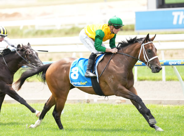 Hot Whiskers wins at Mornington on debut - image Scott Barbour / Racing Photos