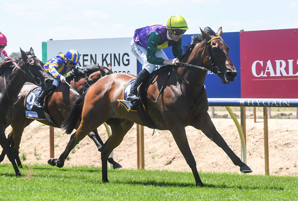 Hotzel wins with ease at Benalla - image Brett Holburt / Racing Photos