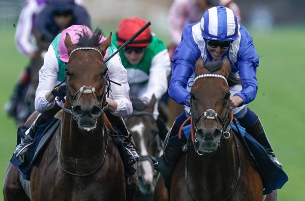 Hukum for Shadwell and Westover for Juddmonte go head to head - image Ascot Racecourse Twitter.