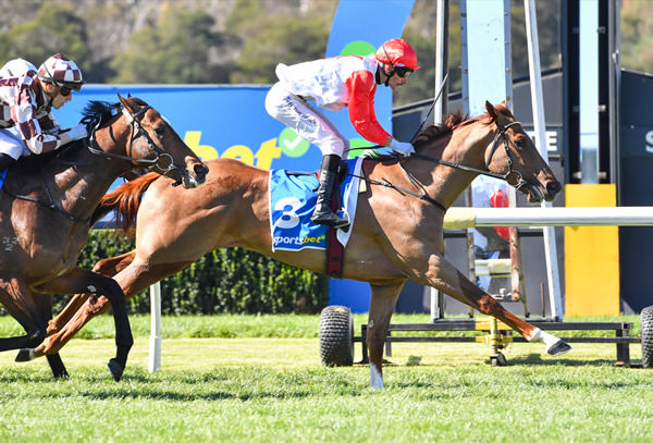 Humble Trader scores on debut - image Pat Scala / Racing Photos