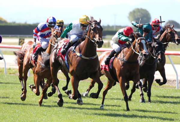 Humbucker (outside) winning the Listed Craigmore Sustainable Holdings Timaru Cup (1600m) on Wednesday. Photo: Race Images South