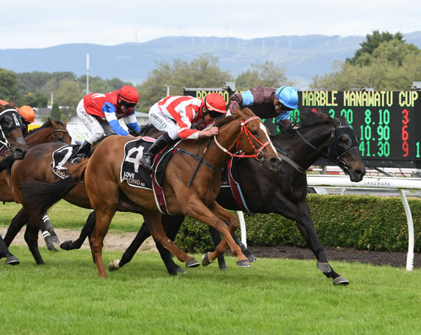 Hunta Pence (outer) and Dolcetto battle out the finish of the G3 Manawatu Cup (2300m) Photo: Race Images – Peter Rubery