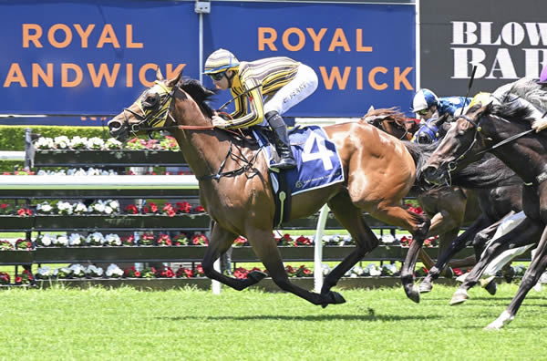 Hyperbolic winning the In Memory Of Sam Kavanagh Handicap (1600m) at Randwick on Saturday. Photo: bradleyphotos.com.au