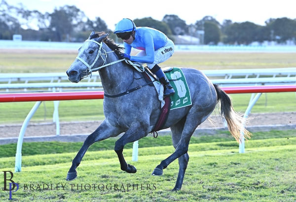 I Am Famous wins at Hawkesbury - image Bradley Photography