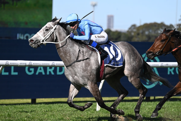 I Am Famous makes it a hat-trick of wins at Rosehill - image Steve Hart