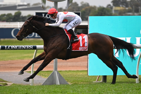 I Am Missile is low flying to win the G2 Missile - image Steve Hart