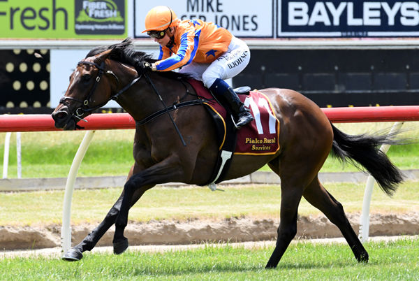 I Choose You heads home a Jamie Richards trifecta in the first race at Te Aroha Photo Credit: Race Images-Kenton Wright