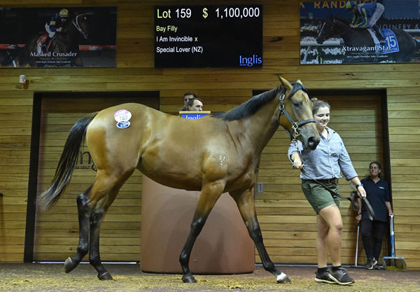 2023 Inglis Premier sale-topping filly by I Am Invincible from Special Lover.