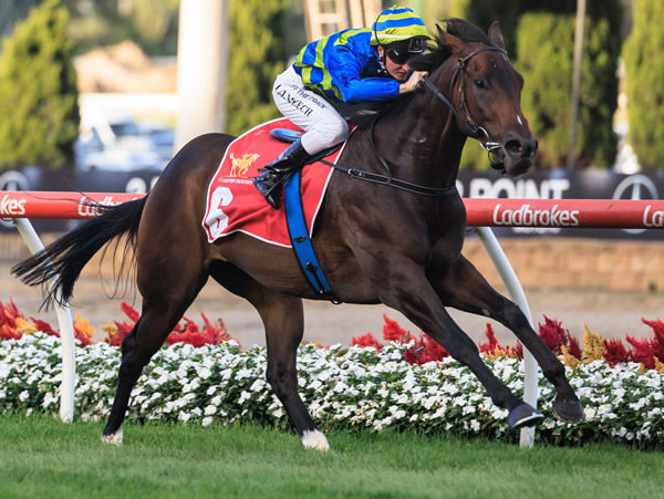 Ice Pick Nick goes two for two at Moonee Valley - image Grant Courtney