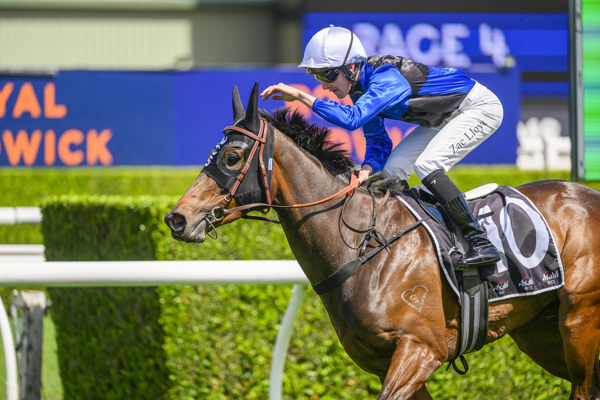 Idle Flyer wins the G3 Angst - image Bradley Photos  
