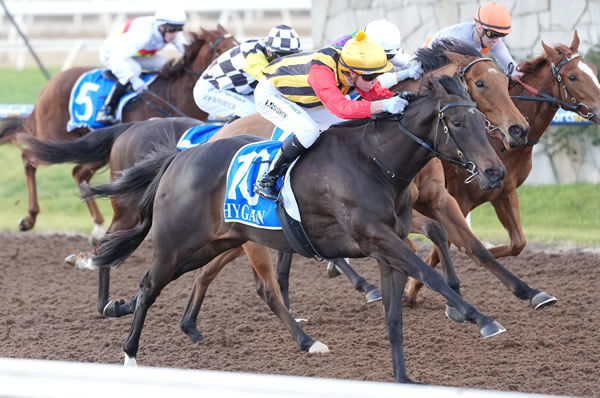 Idleonby wins at Pakenham - image Scott Barbour / Racing Photos