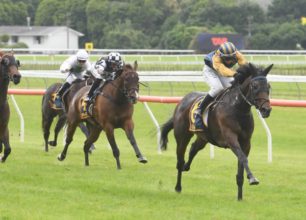 Idyllic winning the Rose City Cars Levin Stakes (1200m) at Otaki on Thursday.   Photo: Peter Rubery (Race Images Palmerston North)