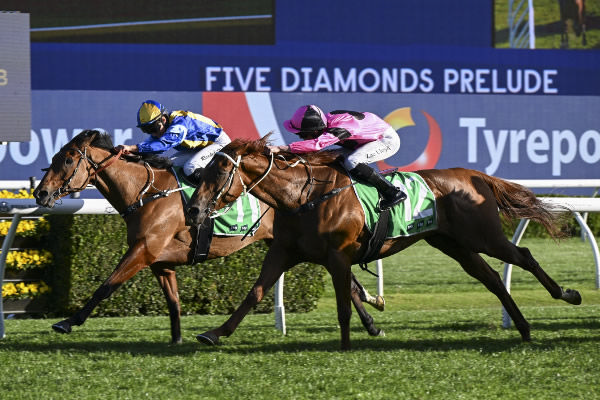 Iknowastar wins the Listed Five Diamonds Stakes - image Steve Hart 