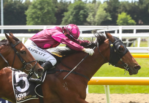 Illicit Dreams winning Saturday's Listed Pegasus Stakes (1000m) at Riccarton. Photo: Ajay Berry (Race Images South)