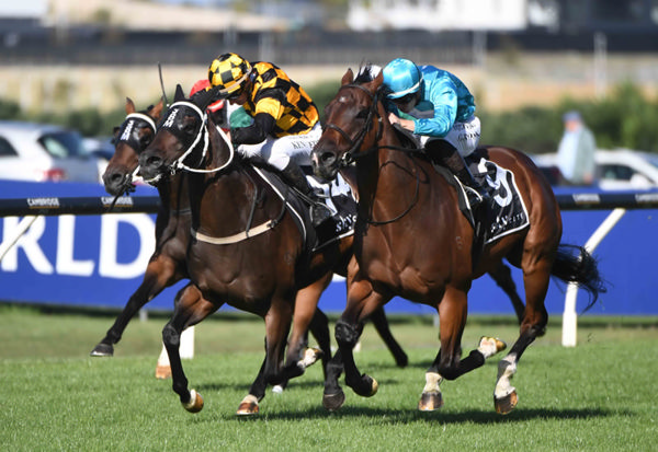 I'm All In (inside) winning at Ellerslie on Saturday. Photo: Kenton Wright (Race Images)
