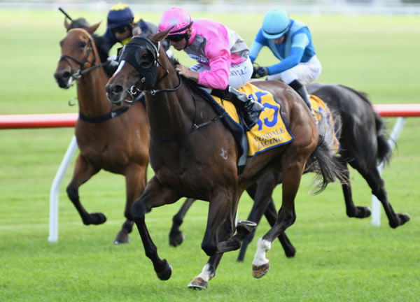 Imarichgirl will target the Gr.3 Eulogy Stakes (1600m) at Te Rapa on Saturday. Photo: Kenton Wright (Race Images)