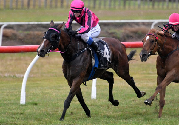 Tegan Newman guides Imelda Mary to a welcome victory at Tauranga Photo credit: Race Images – Kenton Wright