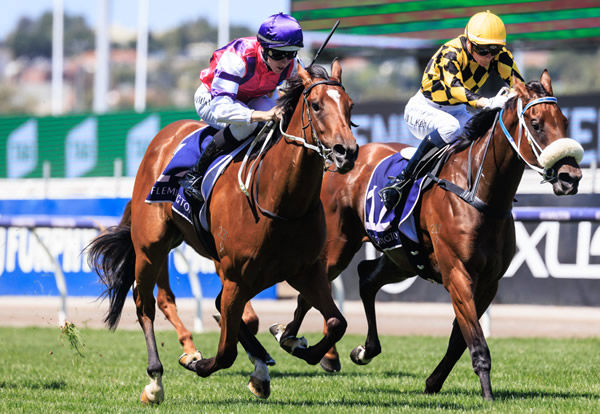 I'm Lovin'Ya was back to her best at Morphettville on Saturday - image Grant Courtney 