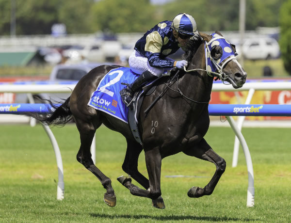 Exciting three-year-old Immediacy on his way to winning the Gr.2 Autum Classic  - image Grant Courtney