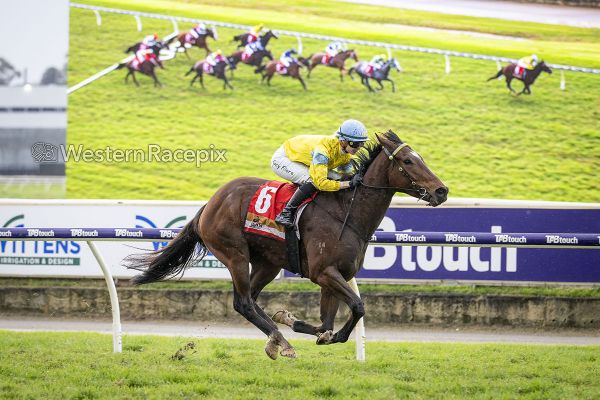 Immortal Bliss is an easy winner of the Listed Belmont Newmarket - image Western Racepix