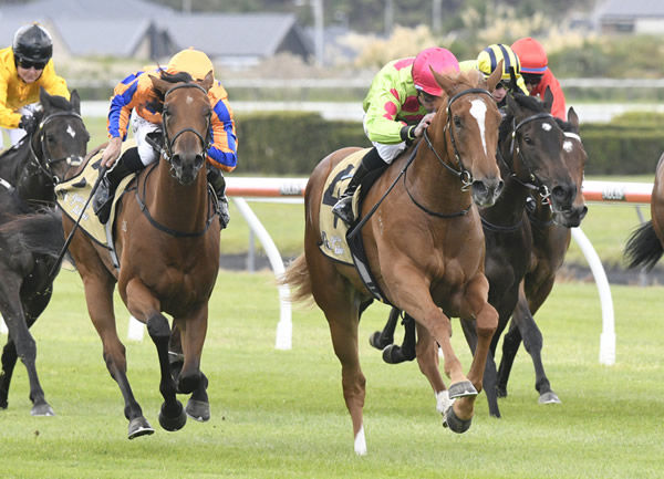 Impendabelle gets down to business as she takes out the Gr.2 Mode Technology Wakefield Challenge Stakes (1100m) Photo: Race Images – Peter Rubery 