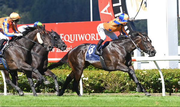 Imperatriz downs stablemates On The Bubbles and I Wish I Win (rail) to win the Gr.1 Wellington Seamarket Levin Classic (1600m) Photo Credit: Race Images – Grant Matthew