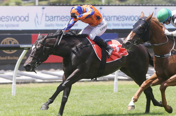 Imperatriz takes out the Gr.2 Barneswood Farm Eclipse Stakes (1200m) at Ellerslie Photo credit: Trish Dunell 
