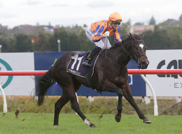 Opie Bosson eases Imperatriz to the finish line as they take out the Gr.2 Waikato Stud Foxbridge Plate Photo credit: Trish Dunell