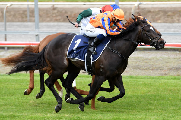 Imperatriz heads the Group One New Zealand 1000 Guineas (1600m) field. Photo: Race Images.