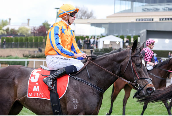 Imperatriz is set to stay in Melbourne - image Racing Photos