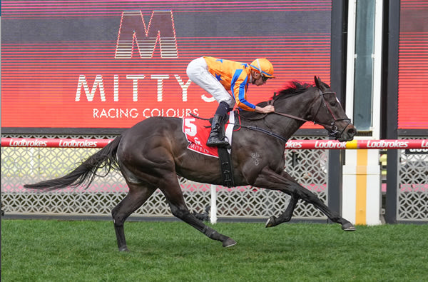 Imperatriz will start the ball rolling at Moonee Valley on Friday night - image Grant Courtney