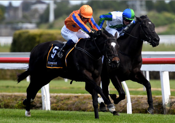 mperatriz heads the field for the  $80,000 Group Three Matamata Veterinary Services Soliloquy Stakes (1400m).