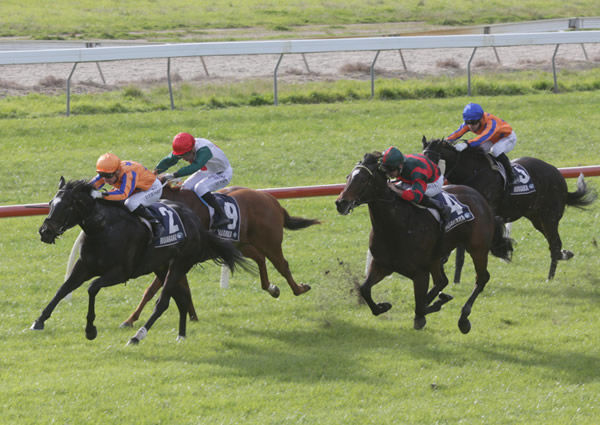 Imperatriz has runner-up Dragon Leap (outer) covered at the finish of the Alibaba’s Flying Carpets Kerikeri Cup (1100m) at Ruakaka Photo credit: Trish Dunell