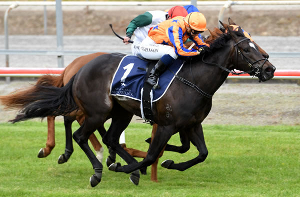 Imperatriz produces a powerful finish for Danielle Johnson as she takes out the Gr.3 Matamata Veterinary Services Soliloquy Stakes (1400m)  Photo Credit: Race Images Kenton Wright