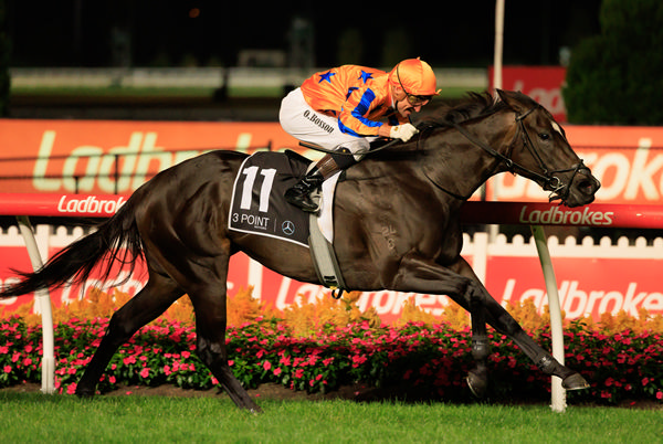 The dam of Imperatriz is in the sale and carrying a full sibling to the five time G1 winner - image Grant Courtney