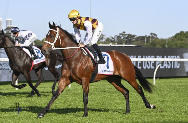 Imperial Force topped the sale at a$285,000.