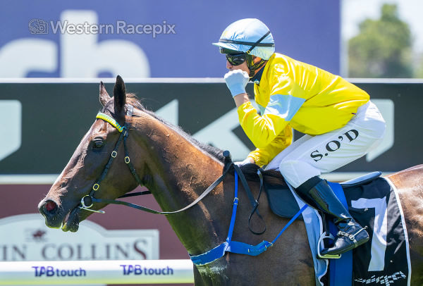 In Good Order wins the G2 Van Heemst Stakes at Ascot - image Western Racepix 