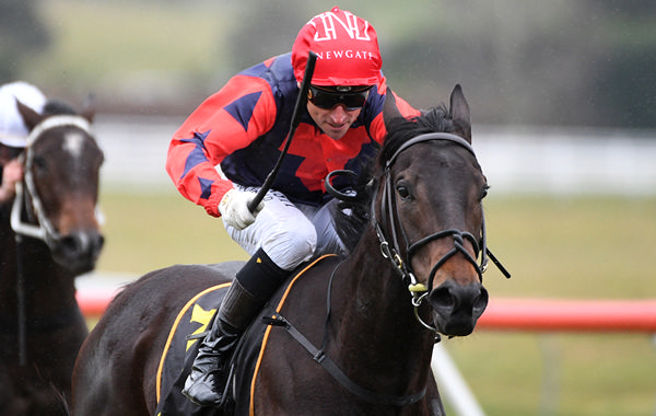 In Haste resumes with an impressive win in the Taupo Pak 'N' Save 3YO Fillies. Photo: Kenton Wright (Race Images)