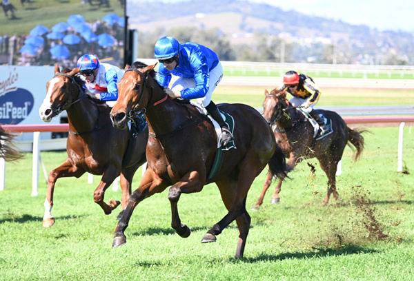 In Secret wins the Listed Woodlands Stakes at Scone - image Steve Hart
