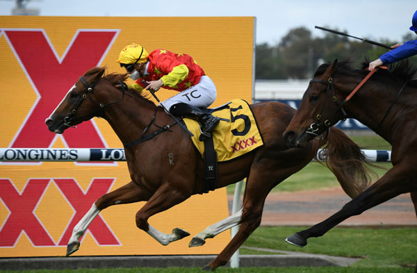 Golden Rose winner In the Congo is the newest member of Newhaven Park's G1 club - image Steve Hart  