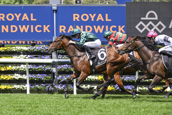 Stay Inside colt Incognito edges out Home Affairs colt I'm Ya Huckleberry - image Bradley Photography