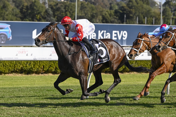 Infusion wins on debut - image Bradley Photography